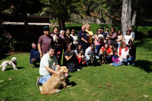 Voluntariado Mascotas