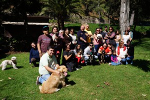 Voluntariado Mascotas